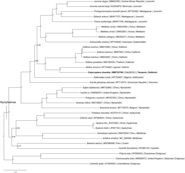 Figure 1.