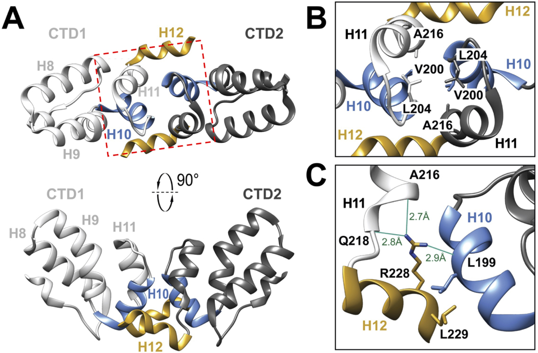 Figure 2.