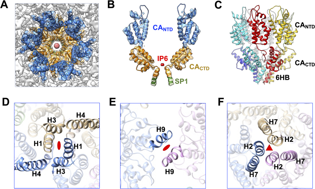 Figure 3.