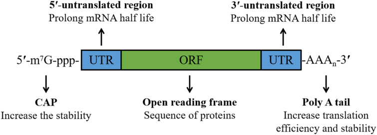 Figure 1