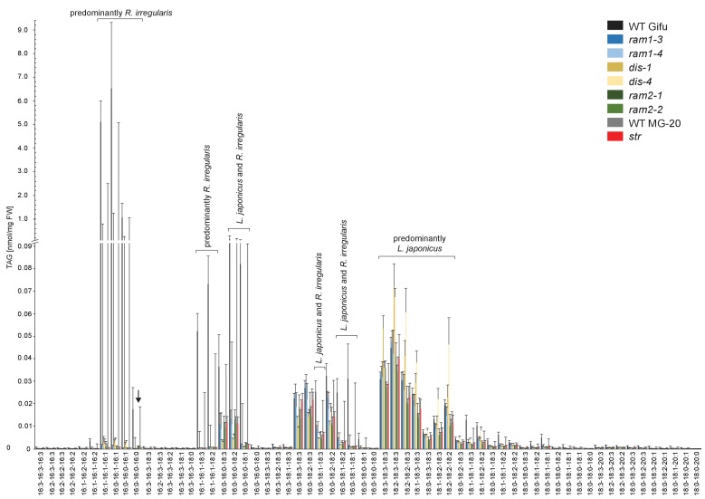 Figure 5—figure supplement 6.