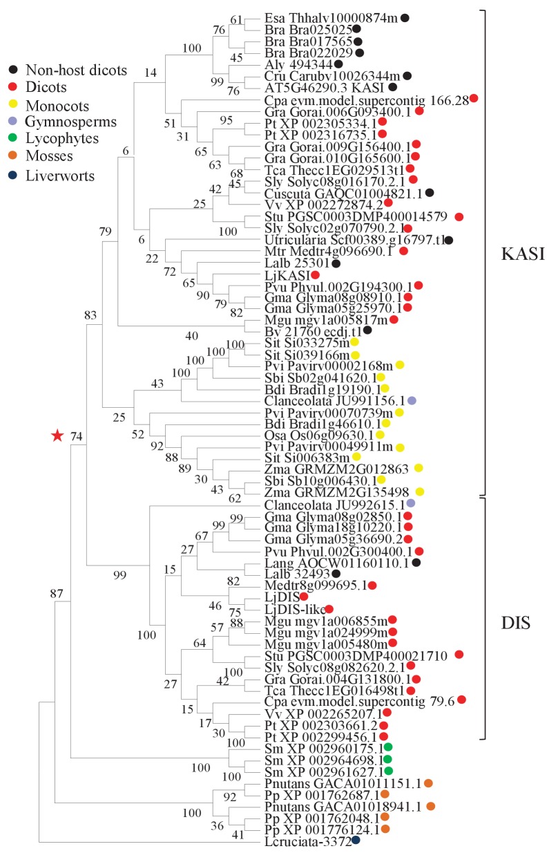 Figure 3.