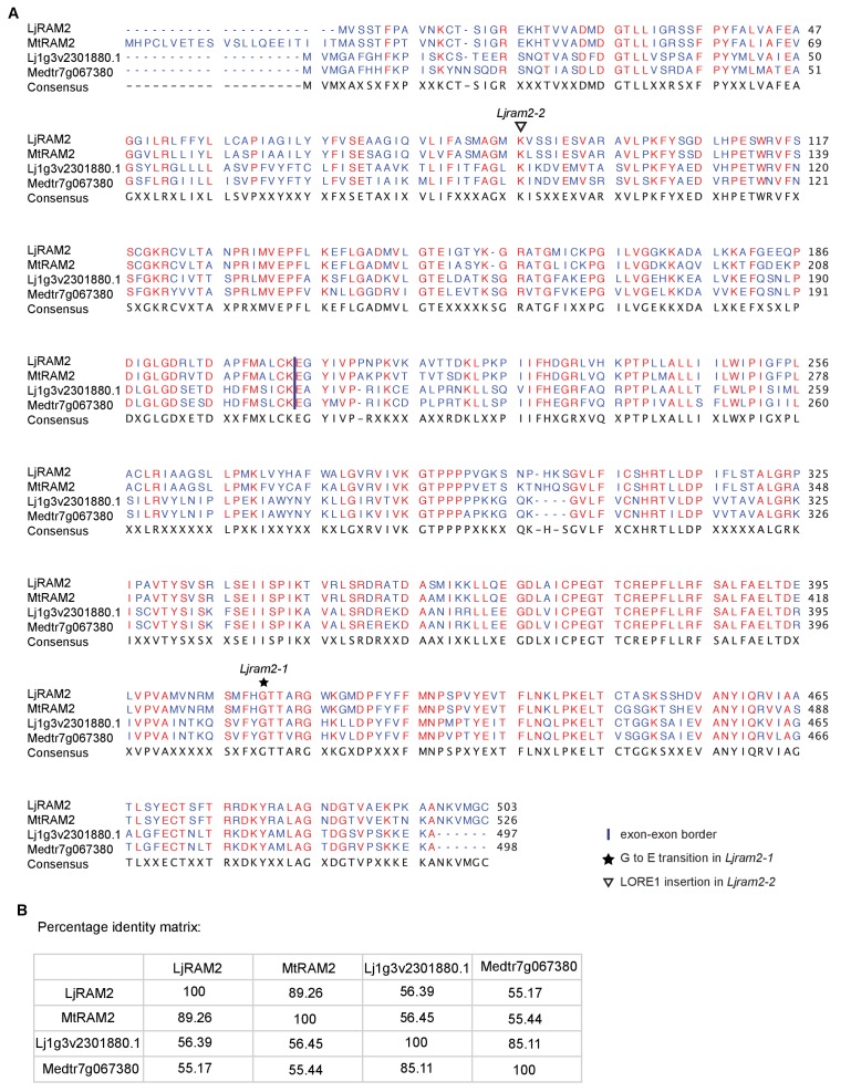 Figure 1—figure supplement 4.