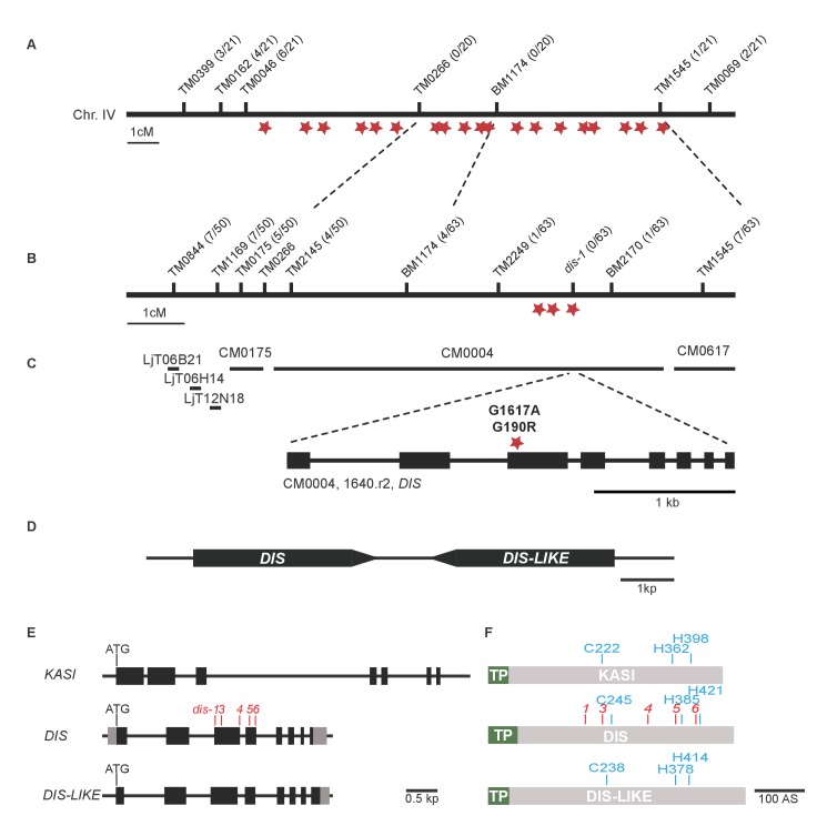 Figure 1—figure supplement 1.