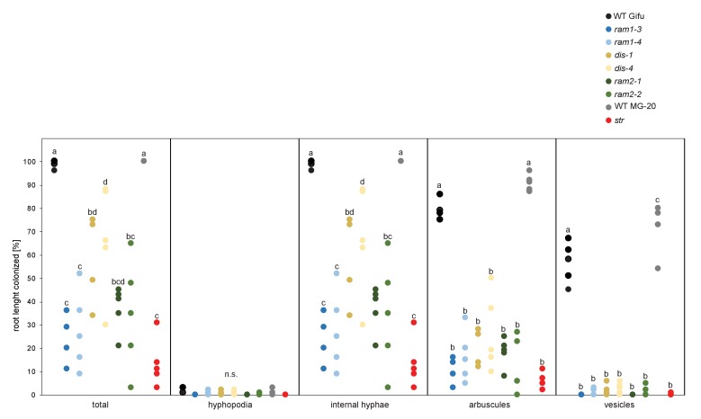 Figure 5—figure supplement 4.