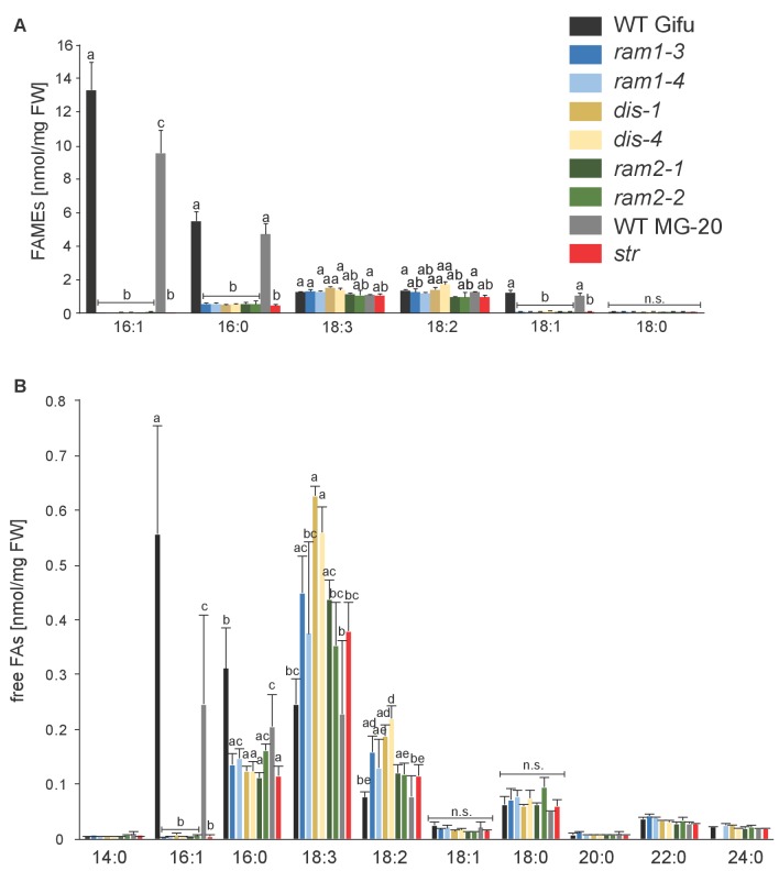 Figure 5—figure supplement 5.