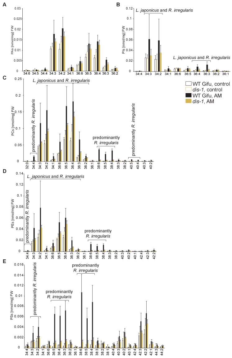 Figure 5—figure supplement 2.