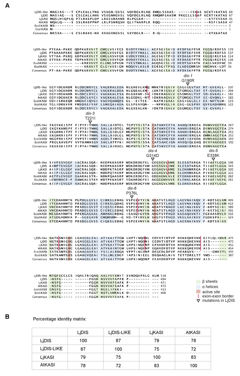 Figure 1—figure supplement 2.