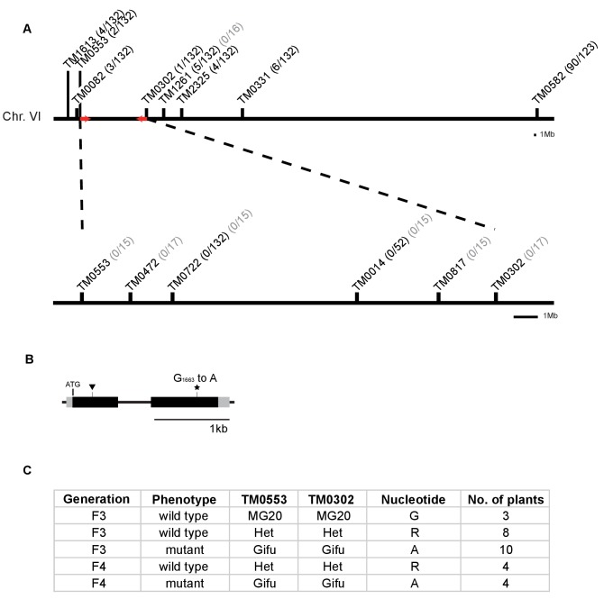 Figure 1—figure supplement 3.