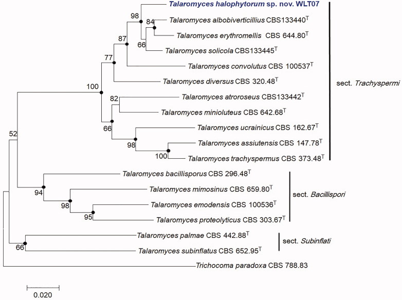 Figure 2.