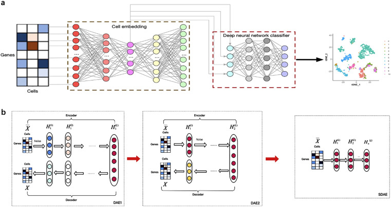 LIDER: cell embedding based deep neural network classifier for ...
