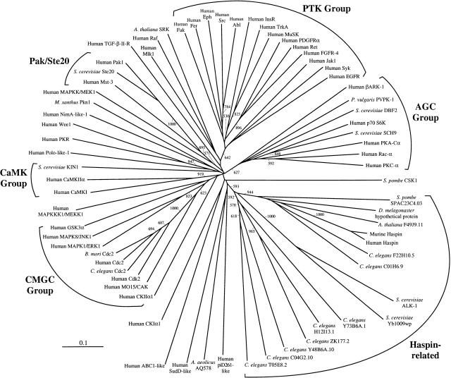 Fig. 3.