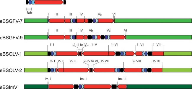 Fig 2