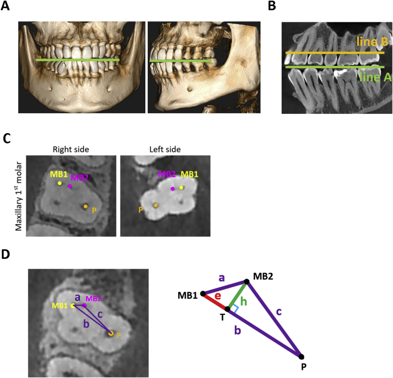 Figure 1