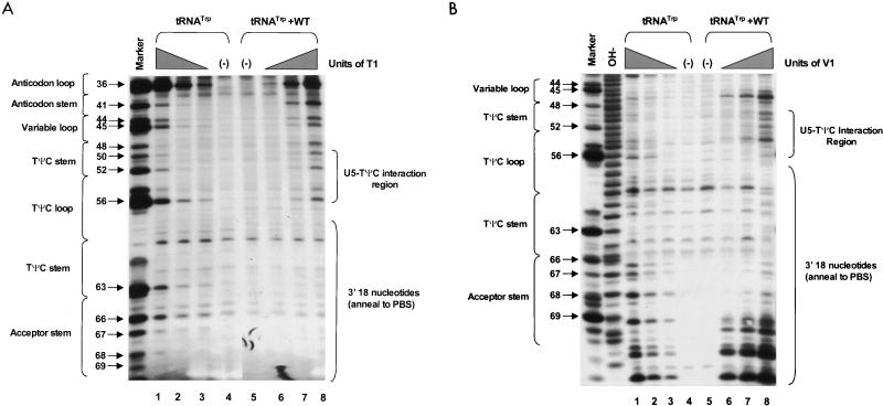 FIG. 7