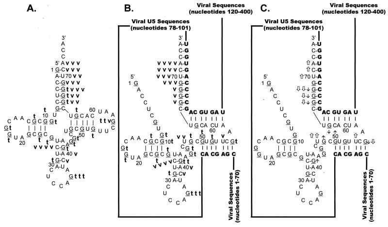 FIG. 8