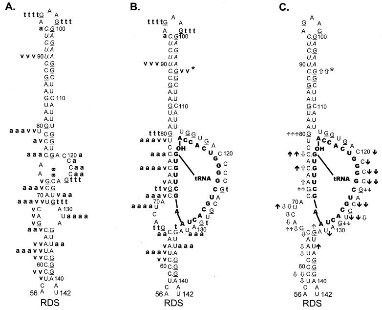 FIG. 6