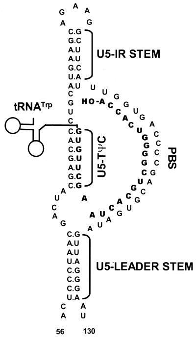 FIG. 1