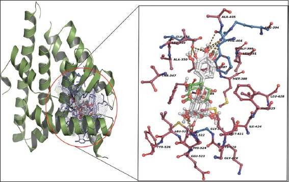 Figure 5