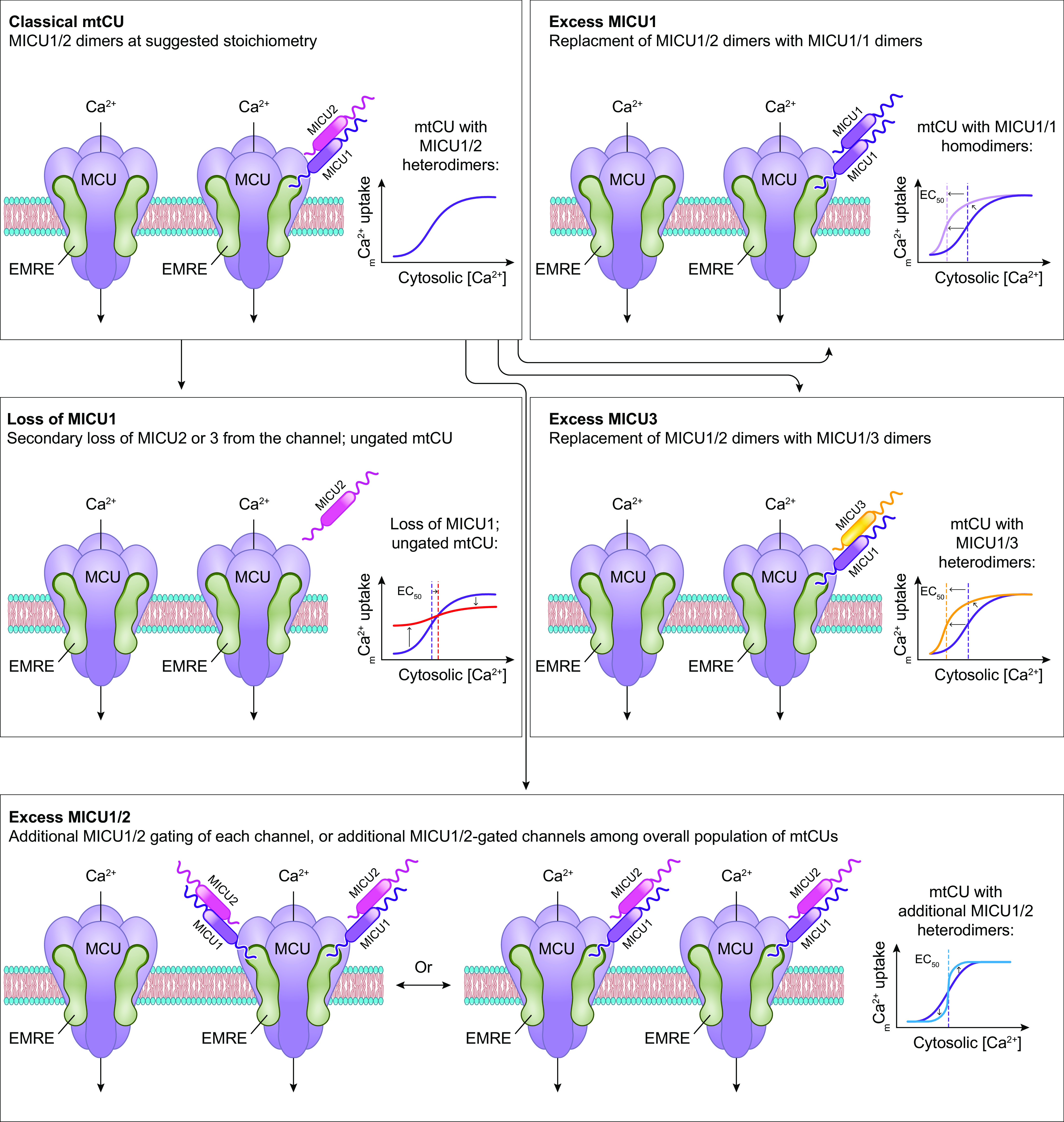 FIGURE 4.