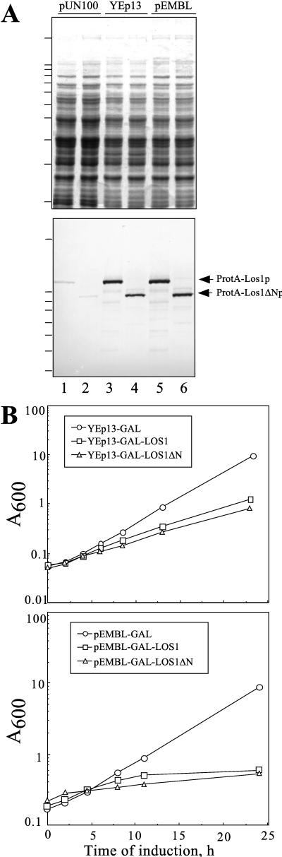 FIG. 4