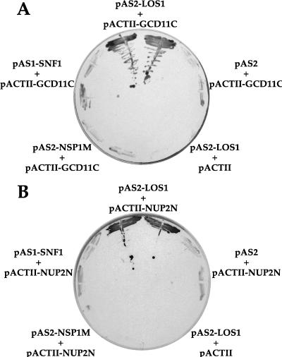 FIG. 1