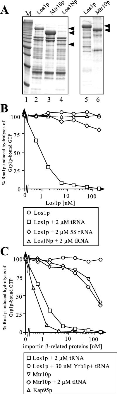 FIG. 6