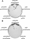 FIG. 1
