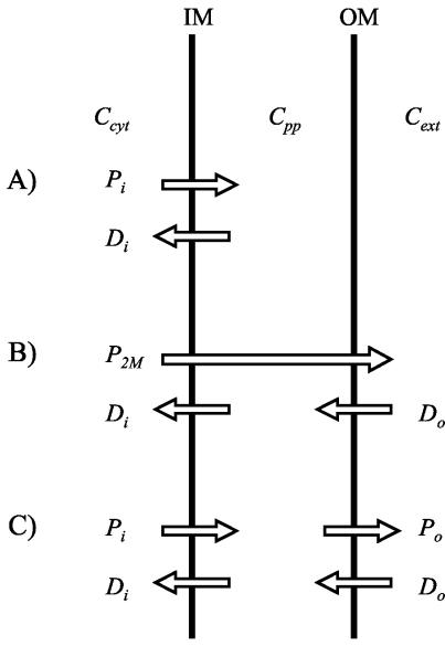 FIG. 1.