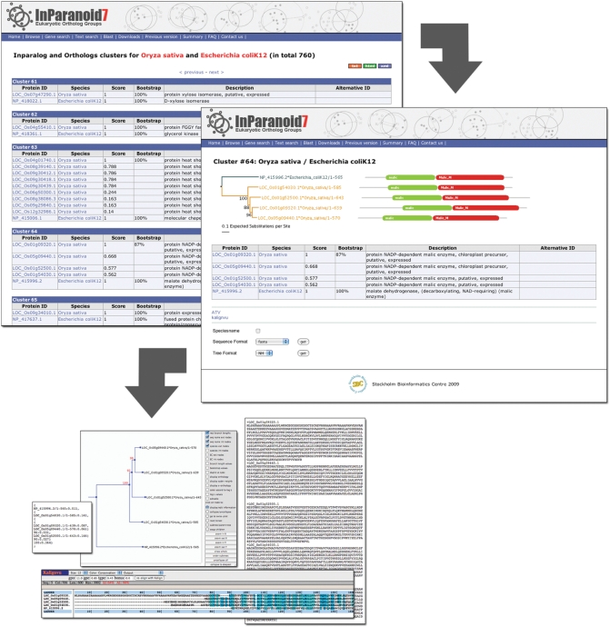 Figure 2.