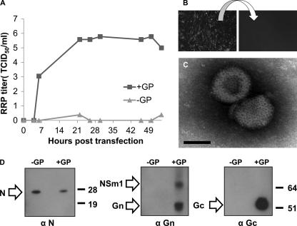 Fig. 9.