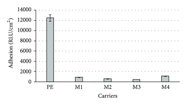 Figure 5