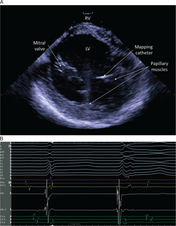Figure 5.