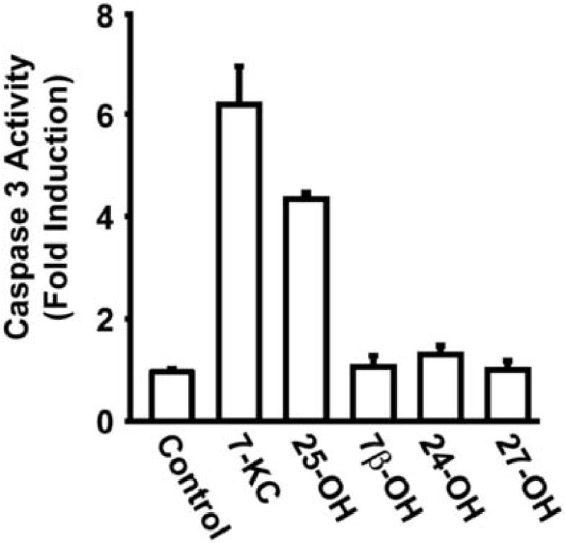 Fig.1