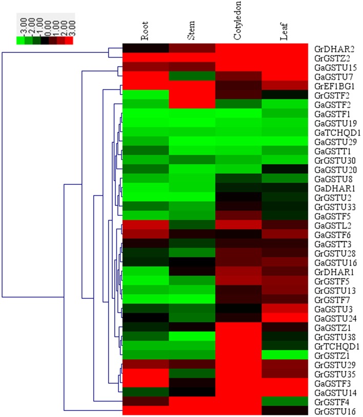 Figure 6