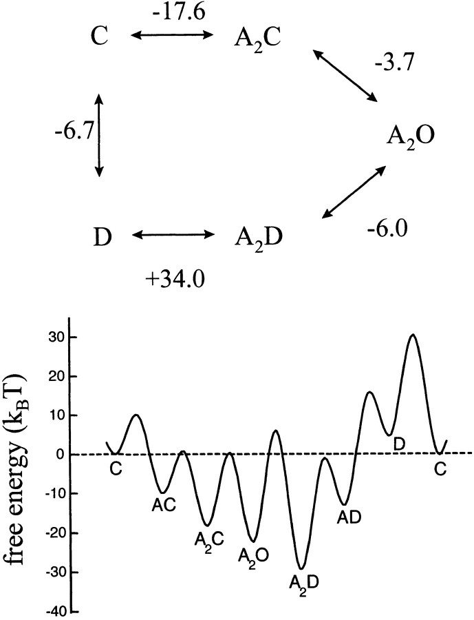 Figure 8