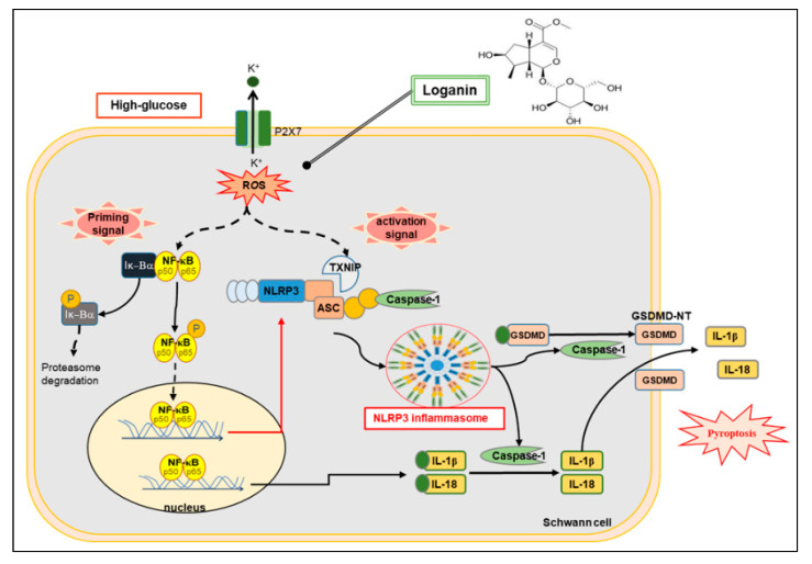 Figure 7