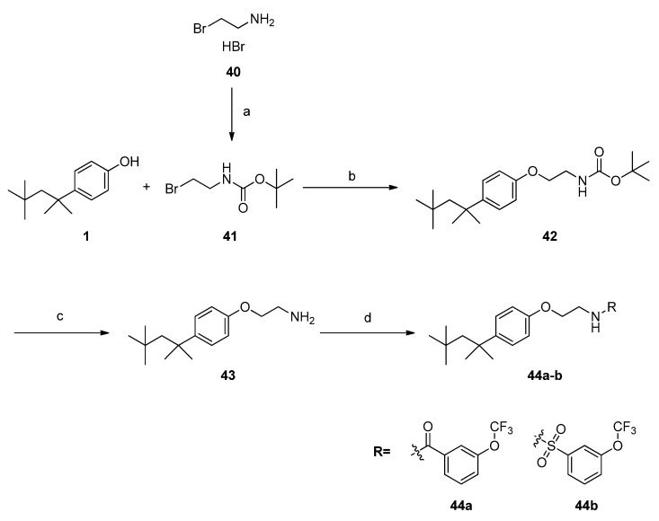 Scheme 7