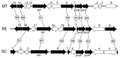 FIG. 4