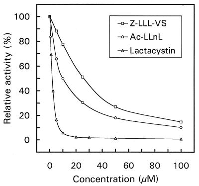 FIG. 3