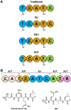 Figure 79.