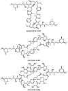 Figure 19.