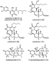 Figure 14.