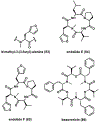Figure 17.