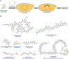 Figure 29.