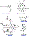 Figure 13.