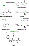 Figure 124.