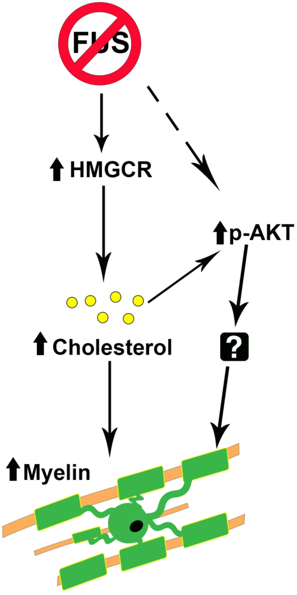 Figure 11.