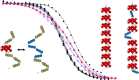 Graphical Abstract