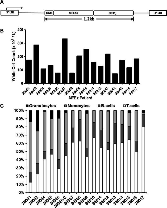 Fig. 1